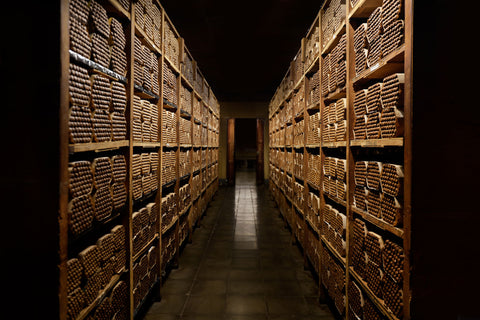 Perdomo Aging Rooms