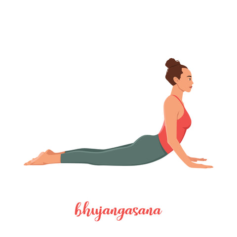 Bhujangasana Postura Yoga sau Cobra Pose