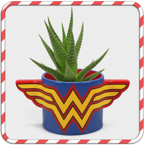 A Wonder Woman succulent plant pot, featuring the gold W.