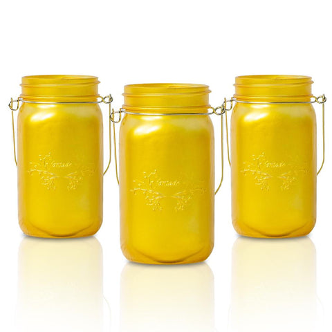 SMALL CLEAR GLASS JAR WITH MANGO WOOD LID — Bridget Beari® Colors