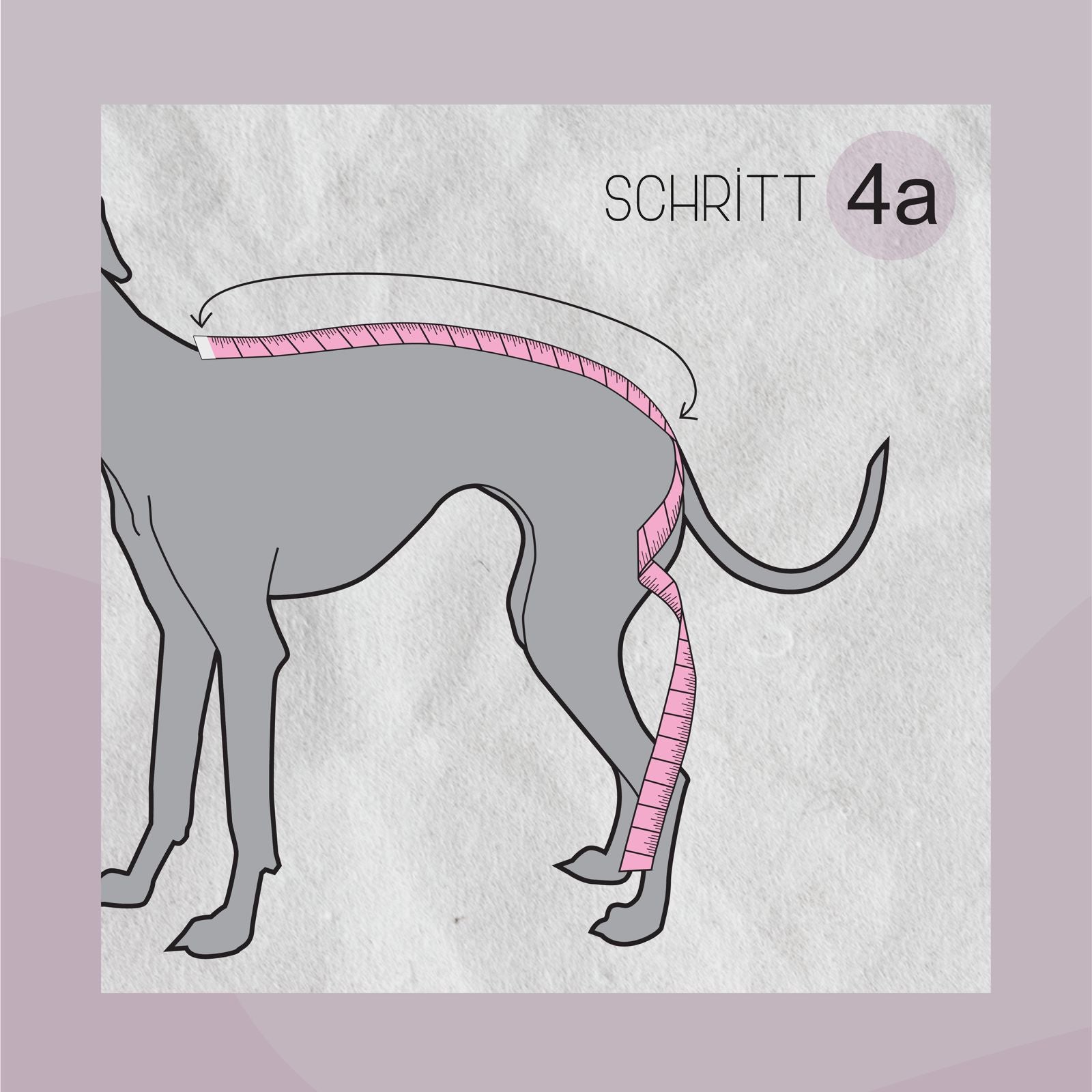 Messanleitung Schritt 4a