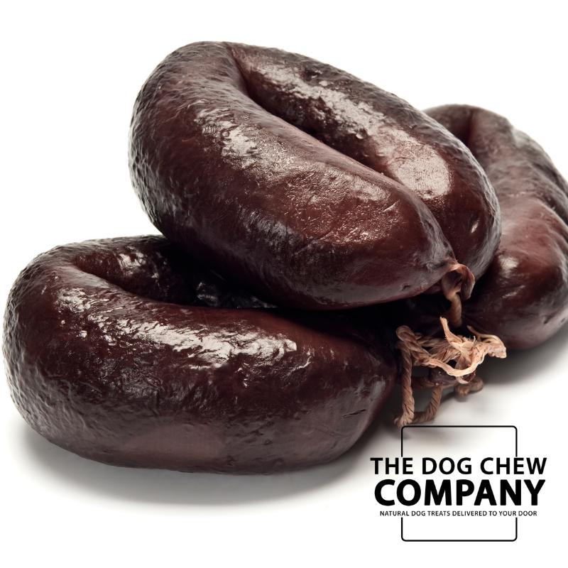 can dogs eat blood sausage