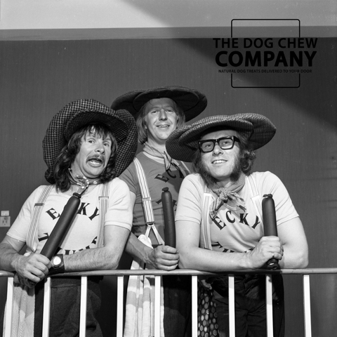 Photo of the Goodies doing the Ecky Thump sketch from the 1970s for the can dogs eat black pudding blog.