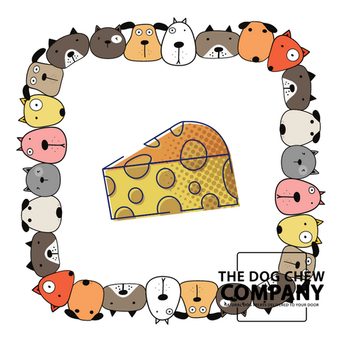 Graphic for the can dogs eat cheese blog