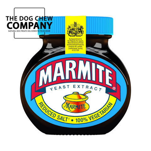 Photo of reduced salt Marmite for can dogs eat Marmite blog.