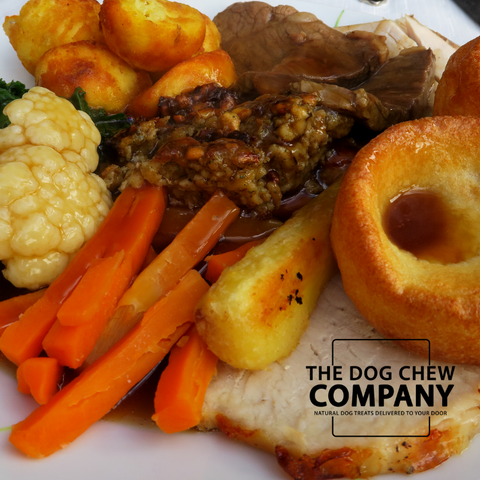 Photo of roast dinner with parsnips for can dogs eat parsnips blog.