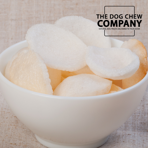 Photo of prawn crackers for Can dogs eat prawns blog