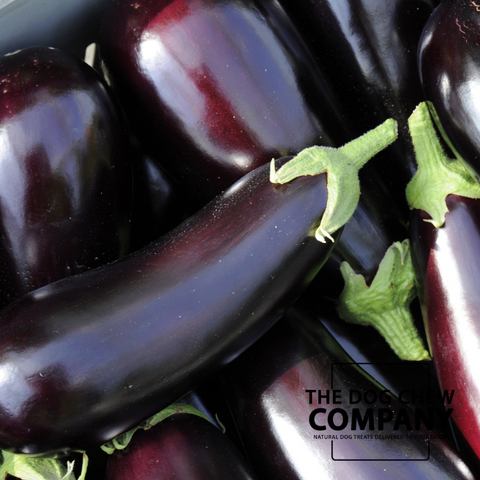 Photograph of aubergines for Can dogs eat tomatoes? blog for the dog chew company site.