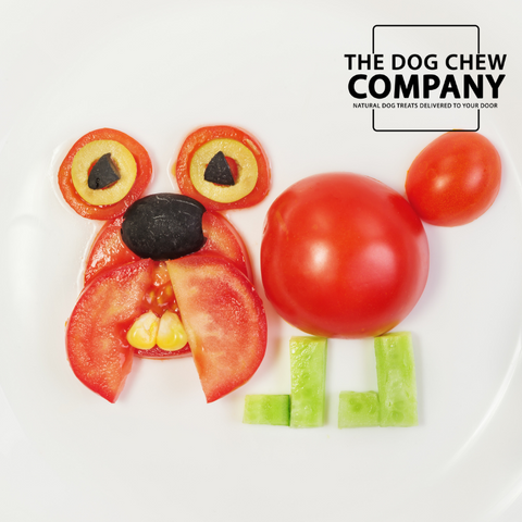 Photo of dog with dog made from tomatoes for the Can dogs eat tomatoes blog.