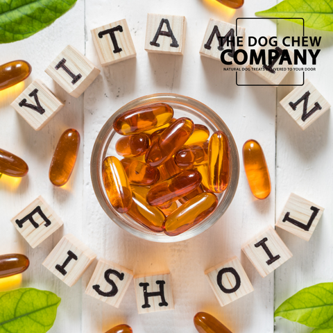 Photo of graphic with fish oil tablets for fish oil for dogs blog