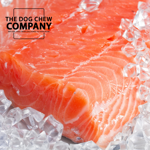 Photo of fresh Salmon for Salmon oil for dogs blog.