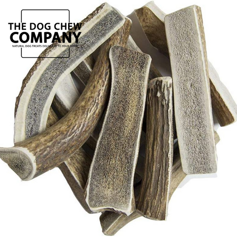 Photo of split deer antlers for the dog chew company blog.