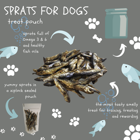 Photo of sprats for dogs for hypoallergenic blog on the dog chew company site.