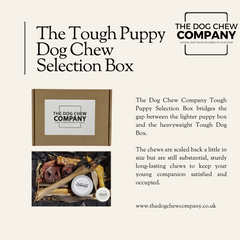 Tough puppy dog chew box from The Dog Chew Company.