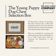 The young puppy chew box form The Dog Chew Company