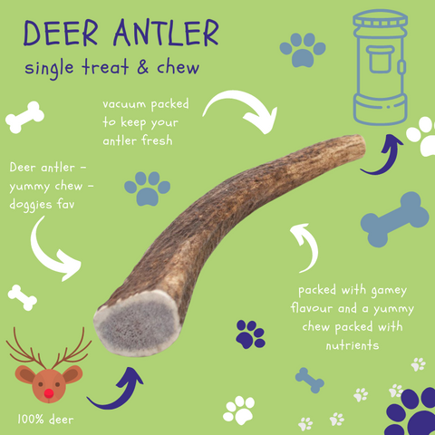 Small antler or split antler for dogs product for sale .
