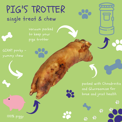 Grain free Pig's trotter from the dog chew company.