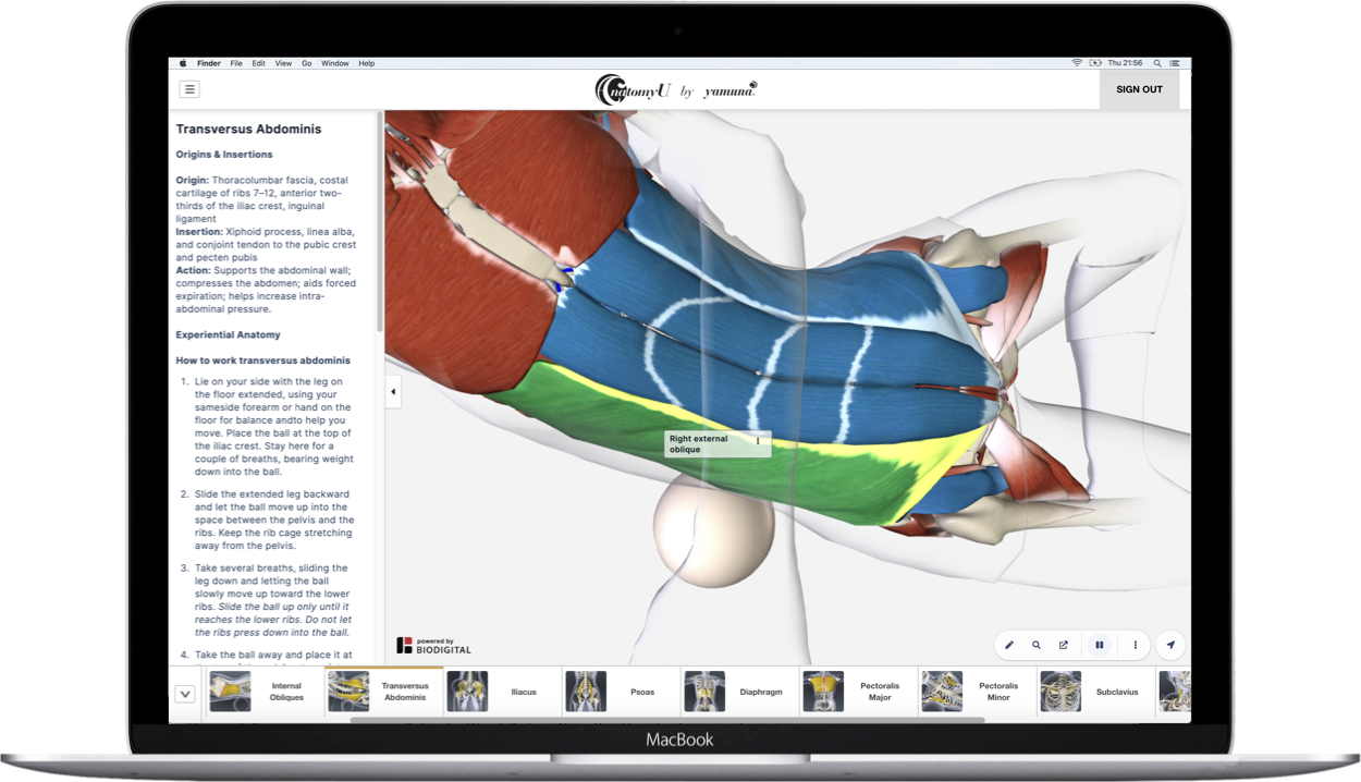 Macbook Pro AnatomyU Web Image