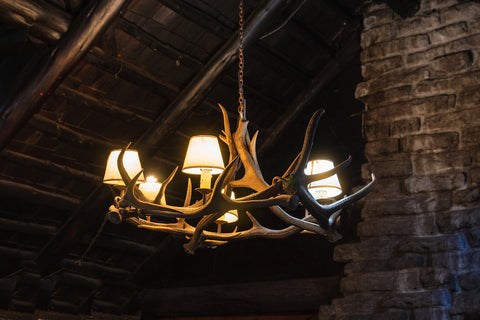What is rustic light, antler rustic light