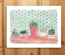 Load image into Gallery viewer, Succulent Plants in Pots
