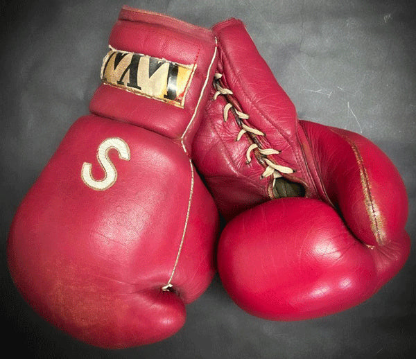 salvador boxing gloves