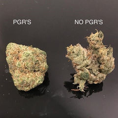 pgr vs organic