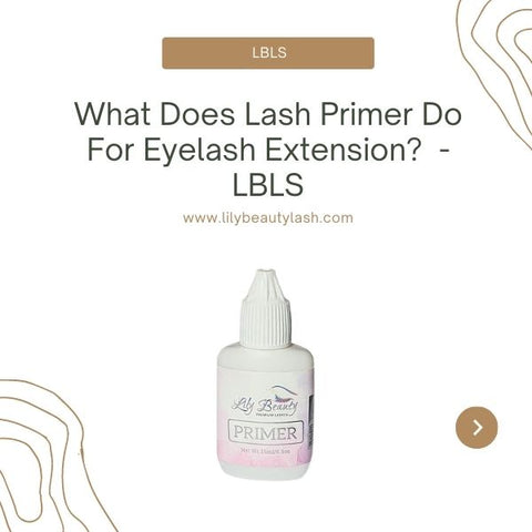 what does lash primer do