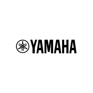 Käytetty Yamaha 211 CCEO #946308