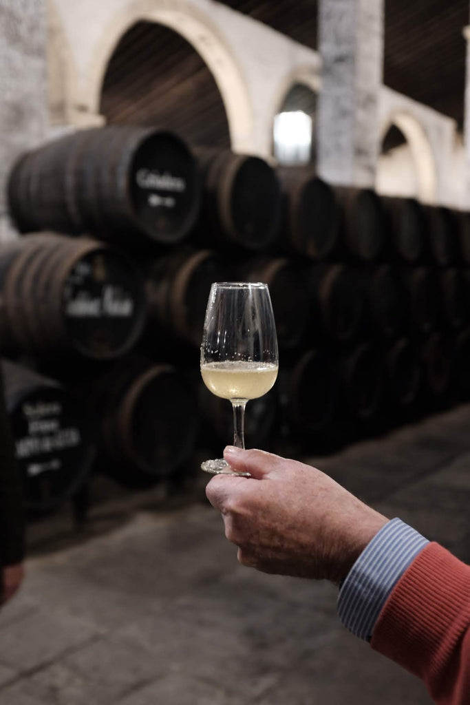 Juan Carlos Gutierrez Colosia holding a glass of freshly extracted Fino. 