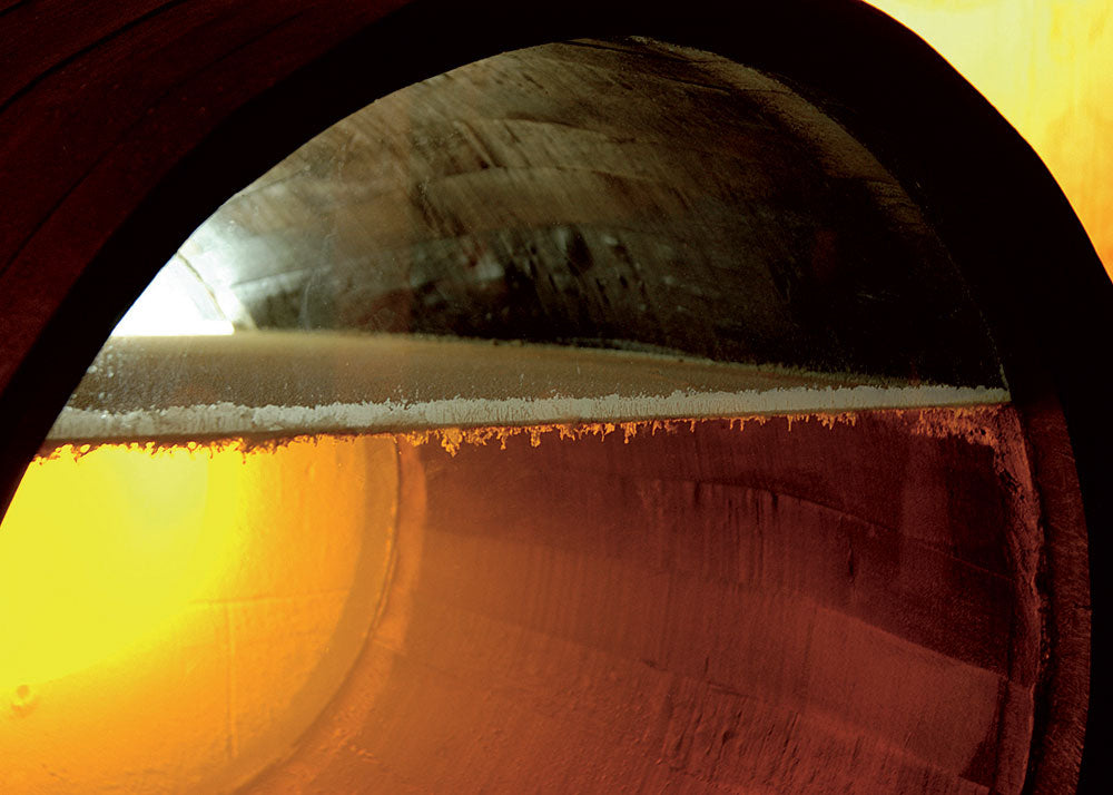 The natural layer of yeast, called flor, formed inside a barrel of sherry.
