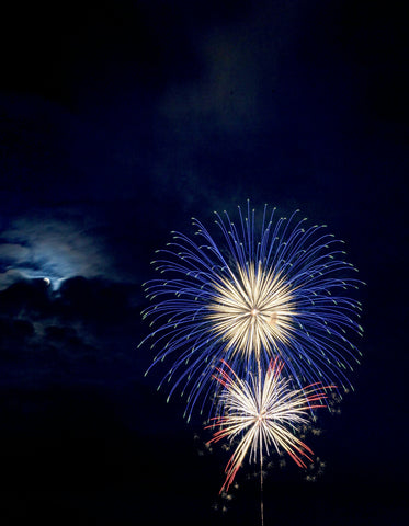 Spectacular Fireworks Display