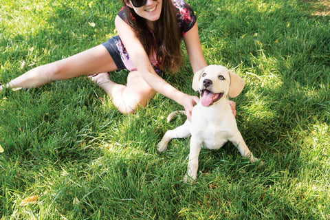 Chien sur l'herbe avec une femme