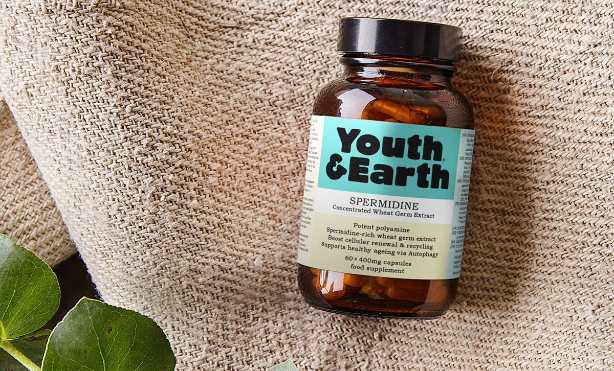 A bottle of Youth and Earths, Spermidine supplement.