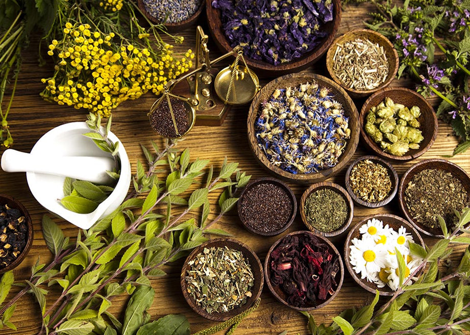 Botanical Herbs