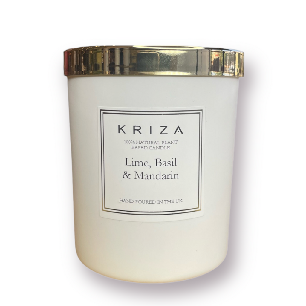 Black Raspberry & Vanilla - Scented Coconut Soy Candle – Dark Horse  Handcrafted