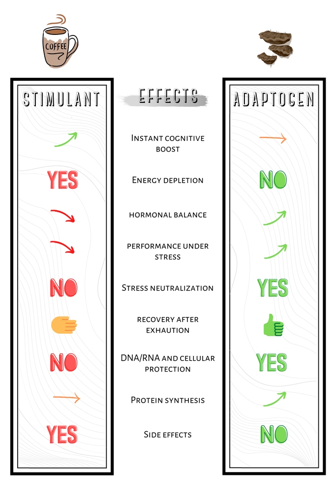 adaptogens vs stimulans
