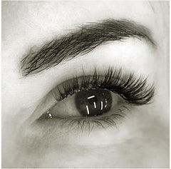 Vivid Lash & Brows Hybrid & 2D Lashes