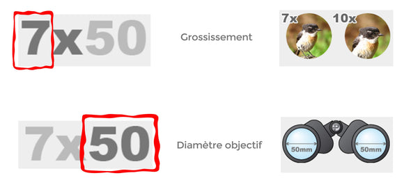 objectif jumelles caméra explication