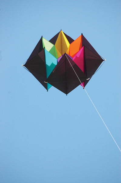 traditional box kite