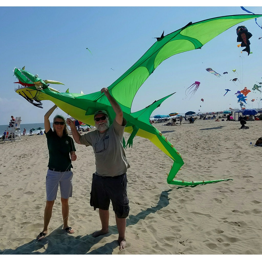 giant 3d dragon kite