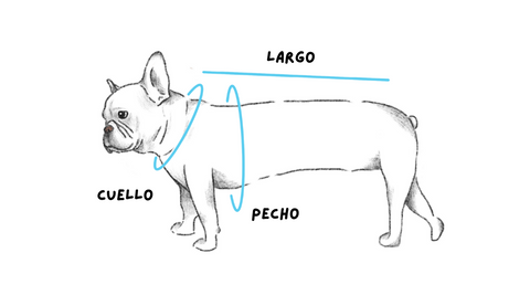 Dibujo de perro con direcciones de como medir