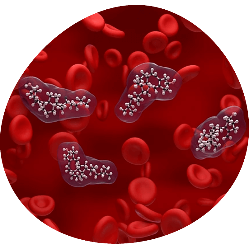 For Directional Blood Flow (1).png__PID:888d8e61-f727-4766-8c99-aaf6fe3389b2