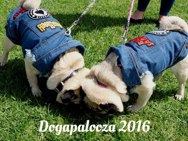 Dogapalooza Melbourne 2016