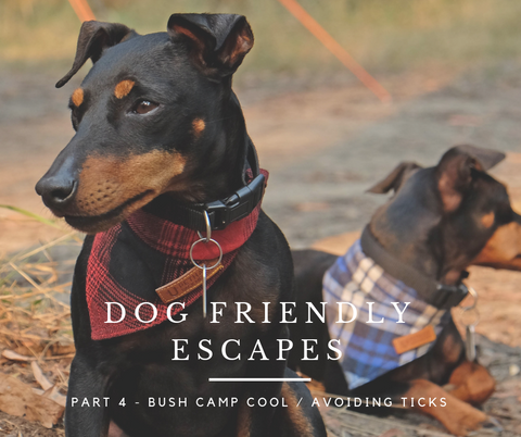 Dog friendly escapes Melbourne Australia