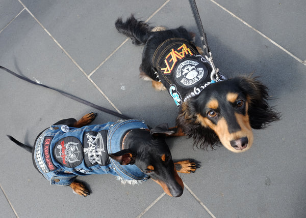 Hophaus Dachshund Races - Metal Dogs