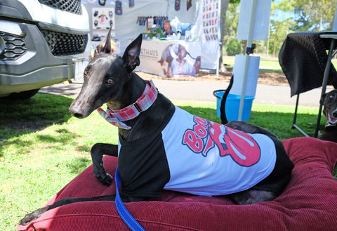 Raglan Dog Tee by Pethaus