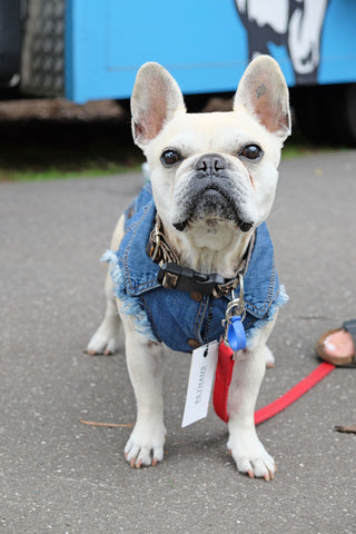 Denim Dog Vest by Pethaus