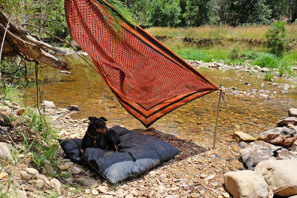 Bush camping with dogs in Australia