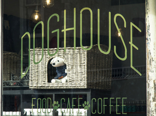 Dog House Melbourne Dog Cafe