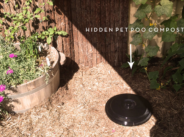 Pet composter in garden